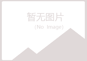 北川县涟漪会计有限公司